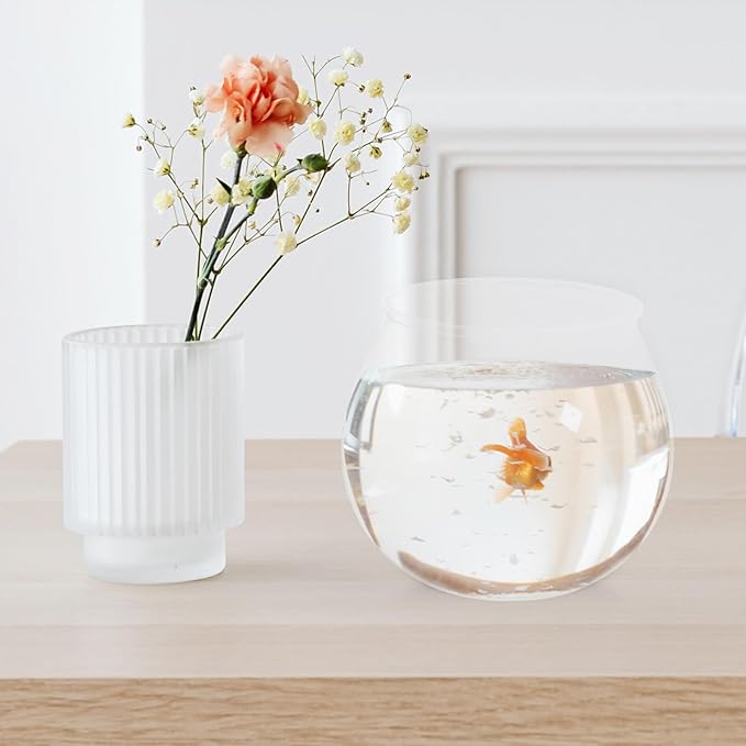 BESPORTBLE 4 Pcs Plastic Fish Bowls Ivy Bowl Clear Goldfish Bowl Globe Vase Terrarium Planter Holder for Games Centerpieces Party