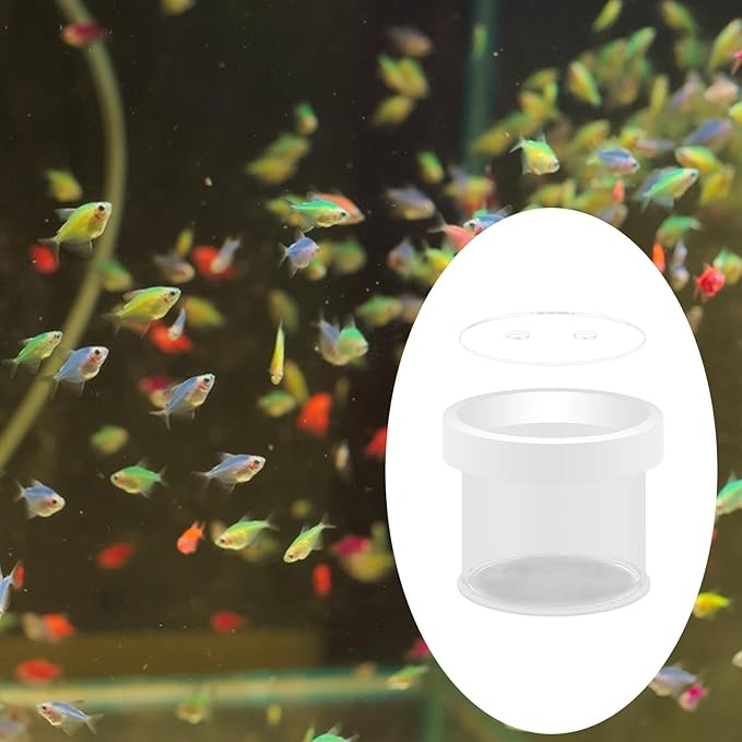 Fish Breeder Box Fish Tank Hatchery Floating Acrylic Transparent Fine Mesh Bottom Isolation Box Incubator for Baby Fish Betta, 12cmx10cm