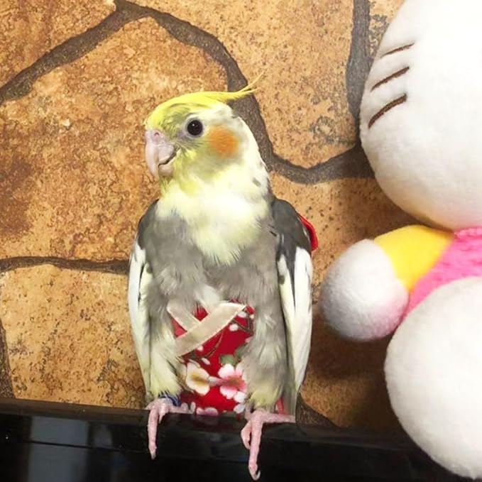 Bird Flight Suits Diapers, Parrot Flight Suits Diapers for Quaker Parakeets Cockatiels Flight Suits, Parrot Clothes (Almond A,XS)