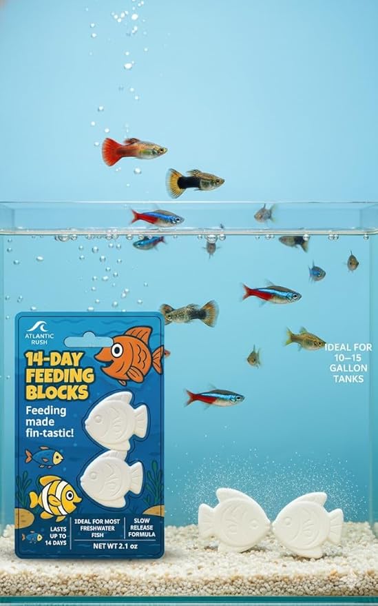 Vacation Feeder for Aquarium - 14 Day Feeder Block - Slow Release Fish Food for Betta, Goldfish & Tropical Fish - Aquatic Pet Tank Food (2 Packs of 2 Blocks)