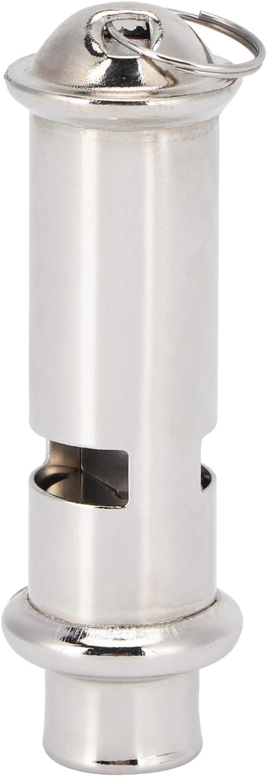 Pigeons Whistle, Silver Training Whistle, with Lanyard Mini Portable Anti‑ for Pigeons for Young Pigeons for Bird for Homing Pigeon