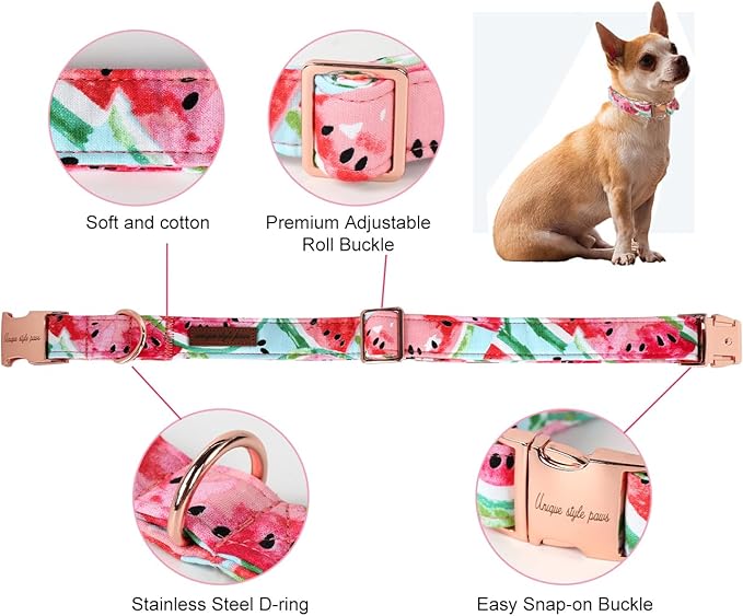 Unique Style Paws Dog Collar Metal Buckle Watermelon Cute Collar for Small Medium Large Boys Girls Dogs