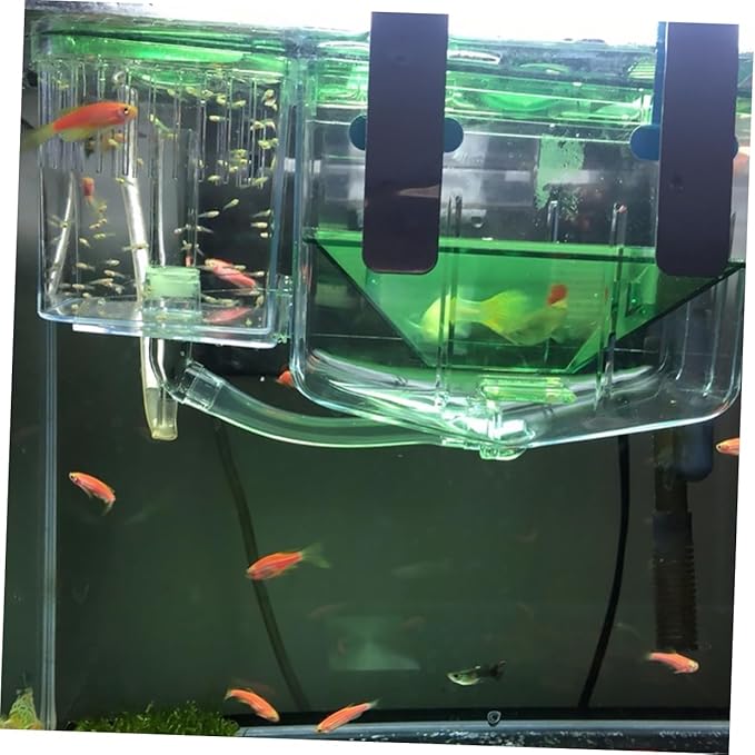 Self Guided Fish Breeding Tank Transparent Acrylic Incubator Box with Isolation Compartments for Aquarium Fry Protection and Juvenile Survival Enhancement