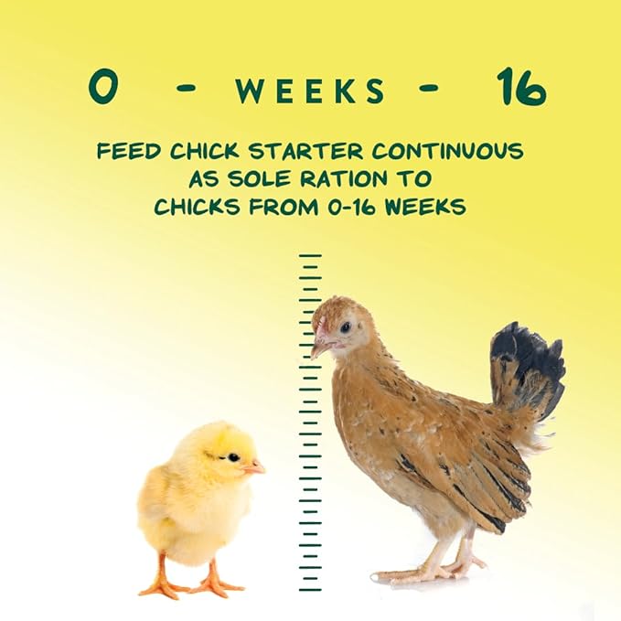 Manna Pro Medicated Chick Starter Grower Feed – High Protein Crumbles with Amprolium for Coccidiosis Prevention – Complete Chicken Feed for Baby Chicks and Pullets – for Healthy Growth – 5 lb Bag
