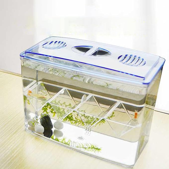Small Fish Breeding Incubator Box Freestanding Hatchery Isolation Tank No Gap Seamless Design for Aquarium Fish Hatching and Reproduction