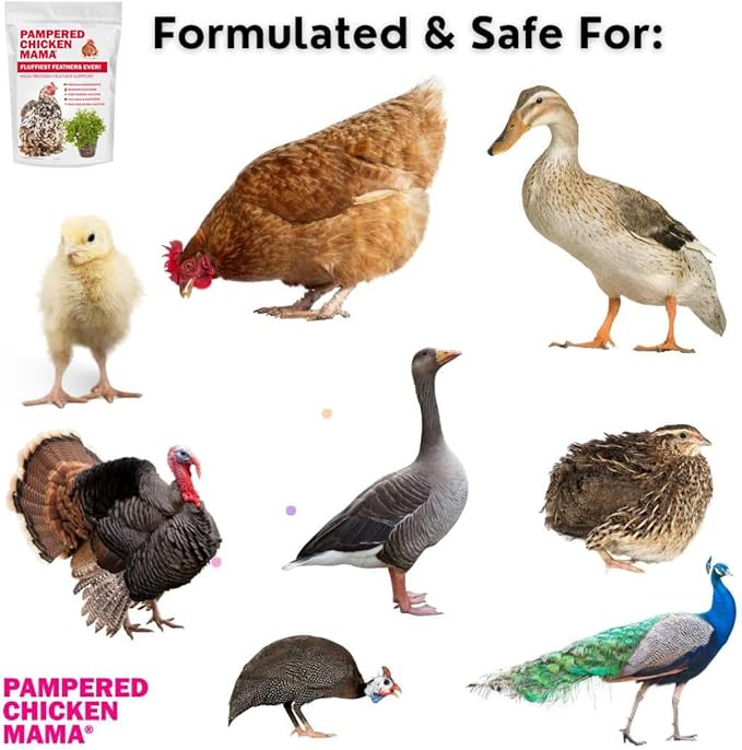 Pampered Chicken Mama Molting Supplement for Chickens: Fluffiest Feathers Ever Backyard Chicken Feed and Supplies for Hens (2 pounds)