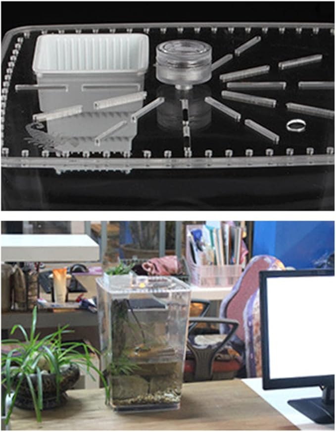 Reptile Terrarium Aquarium Breeding Tank, Transparent Acrylic Breeding Box Creative Desktop Reptile Box Spider Scorpion Pet Hatching Breeding Box Habitat Terrariums Habitat Box with LED Night Light