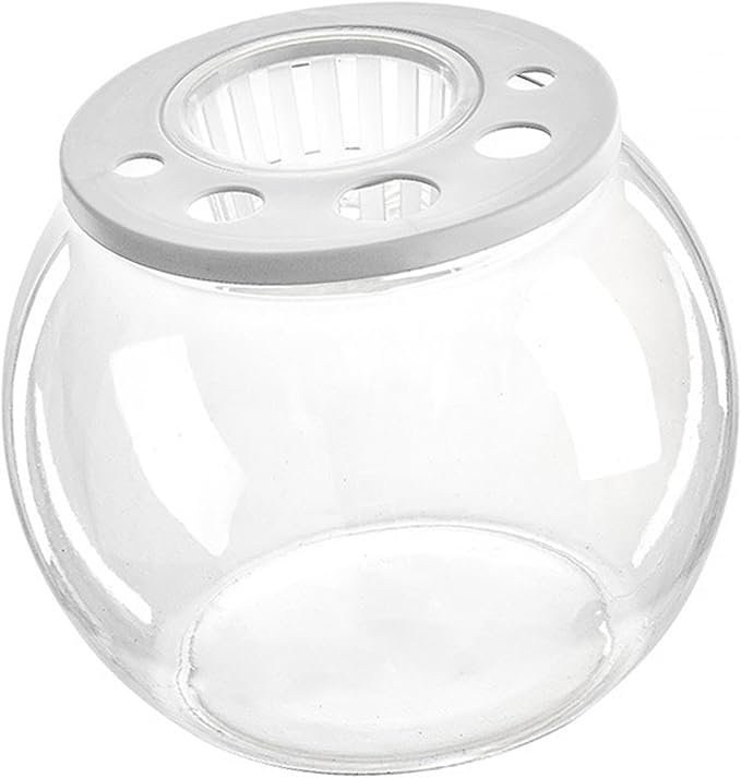 Aquarium Bowl Tabletop with Open Cover for DIY Micro Landscape in Cafe Dorm Room, Round
