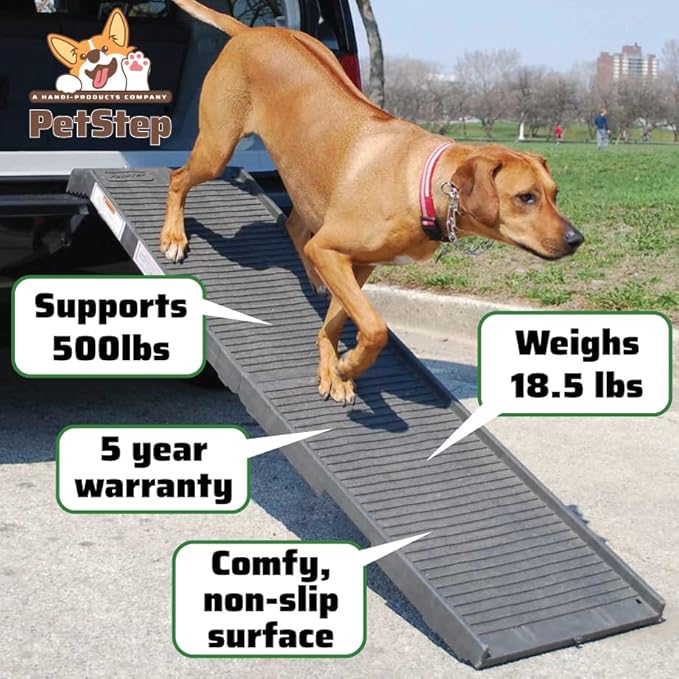PetStep Pool Ramp for Dogs - (Standard Legs, Graphite/Gray) - Small and Large Dog Pool Ramp for Above-Ground and In-Ground Pools