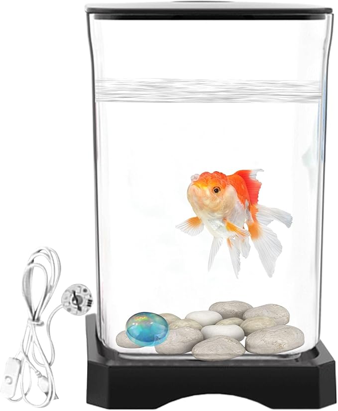 Glass Betta Kit, Glass 5x5x5 Inch | Elegant Glasss Aquarium with Stackable Design, Desktop, Countertop, Stackable Cube Tank for Home Office School