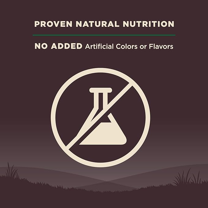 Wellness CORE Adult Dry Dog Food, Grain Free Kibble, Natural, High Protein, Lamb Recipe, 22 lb Bag