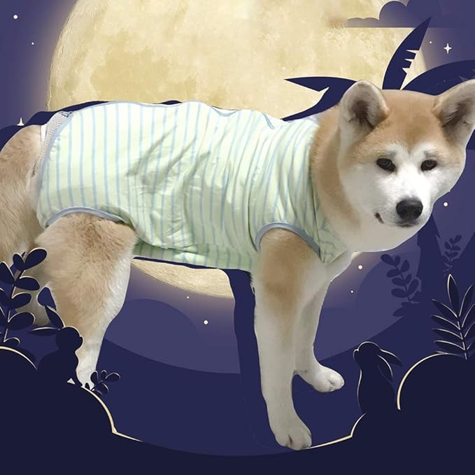 Dog’s Recovery Suit Post Surgery Shirt for Female Male Dog, E-Collar Alternative Wound Protective Clothes (Green Stripe-XL)