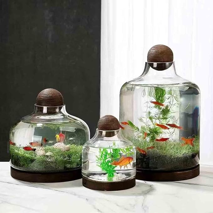 Glass Aquarium Fish Tank Plant Terrarium Bowl Micro Ecological Landscape Self-circulating Plant Vase Desktop Planter Jars Breeder Box, A