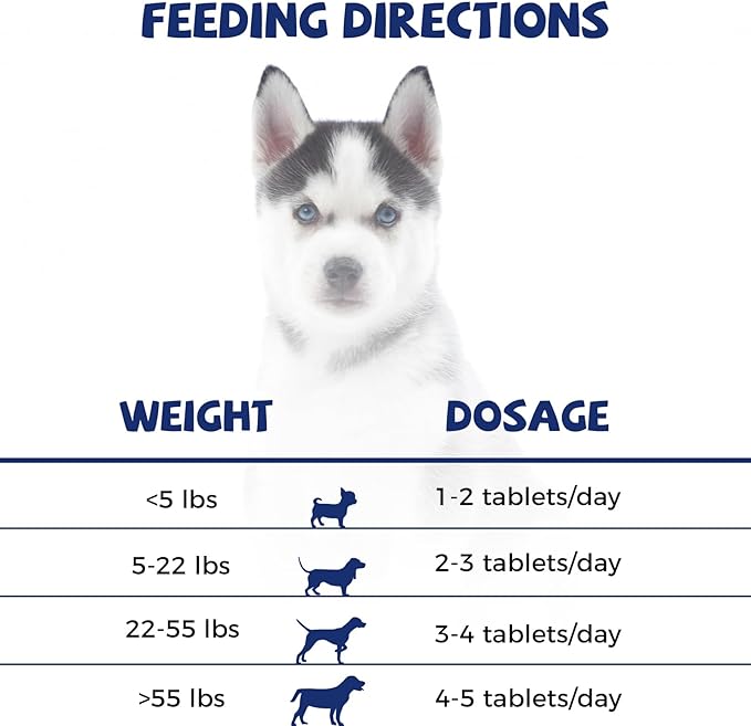 Hip and Joint Care Supplement with Glucosamine, Chondroitin, MSM for All Breeds and Ages Dogs - Chicken Flavor - 100 Chews