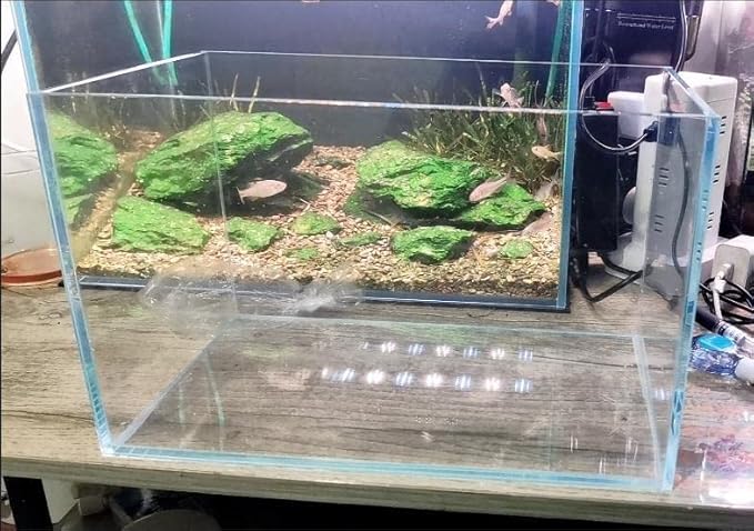 Small Nano Tall Rimless Tank, Glass Fish Tank, Betta Fish Tank, Aquarium (2.85 Gal, 11.8x6.7x7.8 inch)