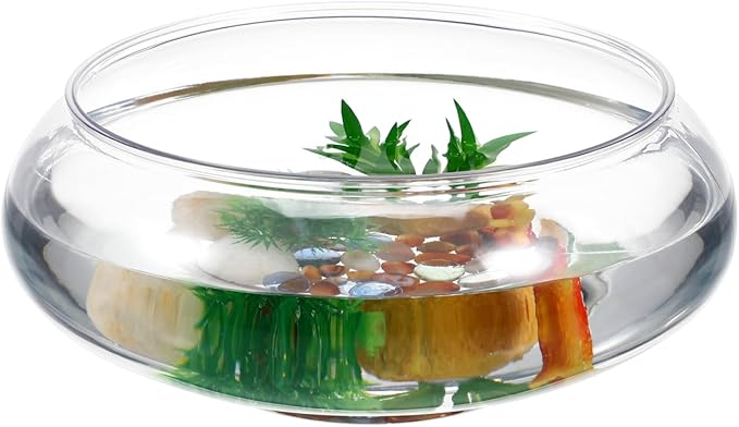 GANAZONO Clear Fish Bowl Vase Bubble Round Planter Terrarium Fish Bowl Aquatic Plant Pot Daffodil Pot Hydroponic Planter Tank Aquarium
