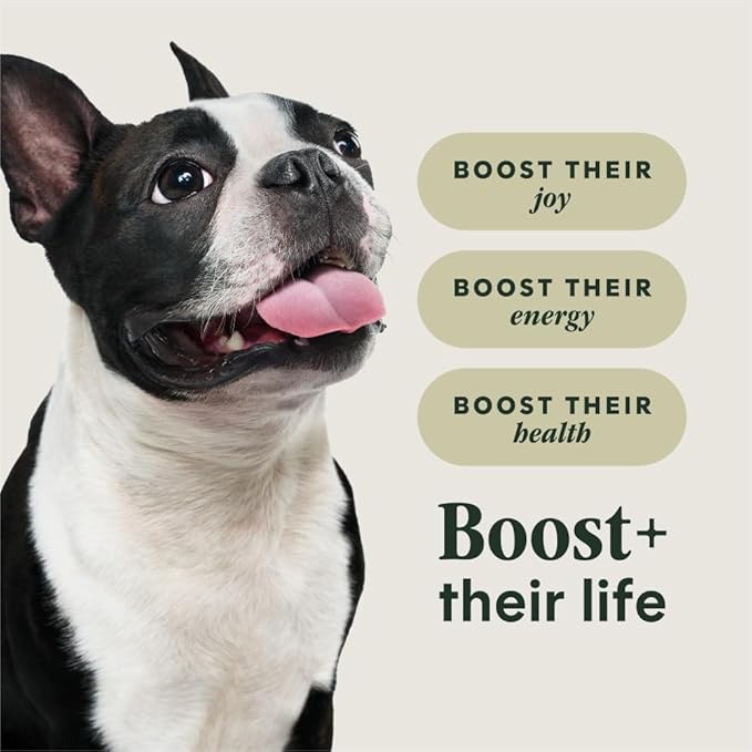 Instinct RawBoost Small Breed, Natural Dry Dog Food with Freeze-Dried Pieces, High Protein, Grain-Free Recipe - Real Chicken, 10 lb. Bag