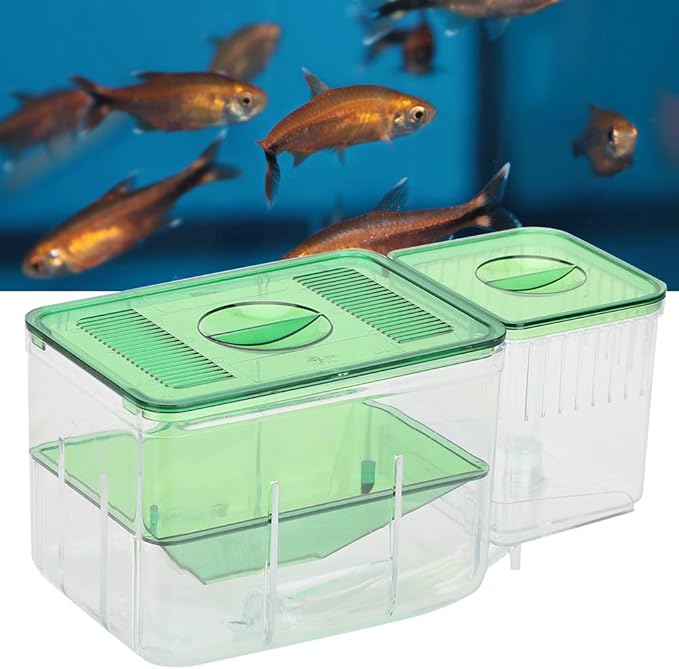 Fish Breeding Box, Transparent Aquarium Little Fish Breeding Hatching Box, Fish Tanks Double Layer Isolation Box Hatchery Incubator for Injured Small Fish Shrimp