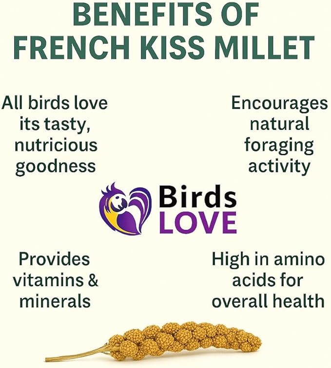 Birds LOVE 5lbs French Kissed Spray Millet for Birds – Harvested in France & Packed in The USA – 100% Natural & Sun‑Dried Millet Spray for Parakeets, Cockatiels, Conures, Parrots & Budgies