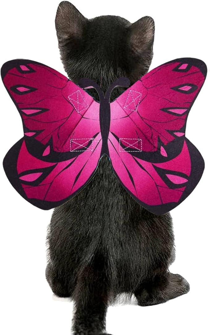 Cat Dog Butterfly Costume Wings for Halloween Party Decoration, Halloween Dog Costume, Puppy Cat Dress Up Accessories