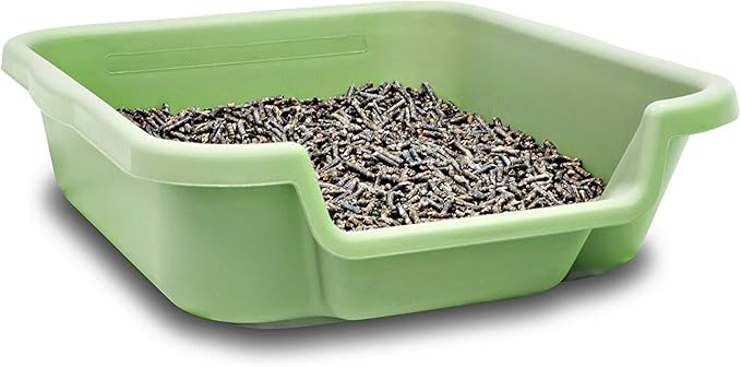 Dog Litter Box, Apple Green Color, Small Size, Durable & Pet Safe Puppy Litter Box, Indoor Open Top Entry Dog Litter Pan, Comfortable for Dogs, Great for Small Dogs up to 6 lbs