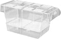 1/2 Fish Breeding Box - Aquarium Breeder Box, Fish Acclimation Box with 2 Suction Cups | Easily Install Fish Isolation Box, Acrylic Aquarium Hatchery Incubator for Baby Fishes Shrimp Betta Guppy