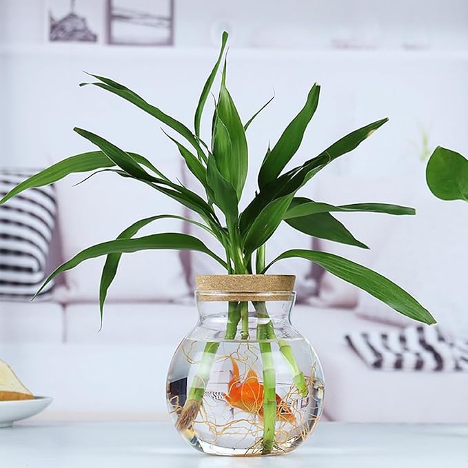 DOERDO Desktop Fish Bowl Landscape Bottle Mini Glass Terrarium Clear Glass Small Fish Tank for Small Betta Fish Plants, 7x5.9 Inch