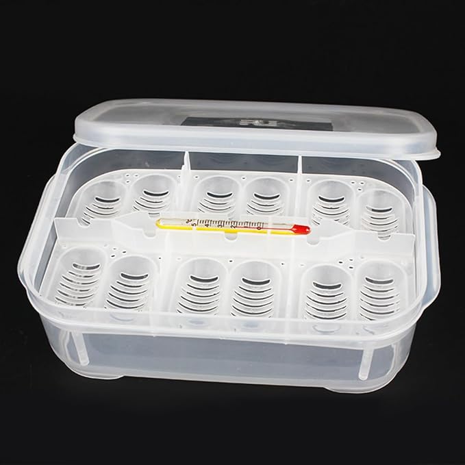 Angoily 3Pcs Transparent Reptile Egg Box Set with Thermometer for Snake and Lizard Egg Incubators 2.56X1.7X2.32 Inch Breeder Tray for Easy Observation and Cleaning