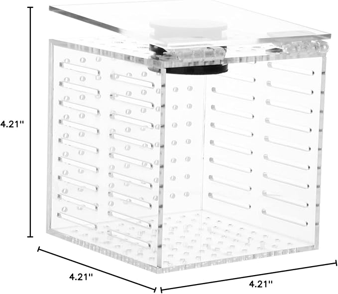 Garneck 1pc Magnetic Fish Isolation Box for Safe Breeding and Separation of Fish Aquariums Easy to Install Hatching Holder Ultra-fine Mesh for Enhanced Survival Rate