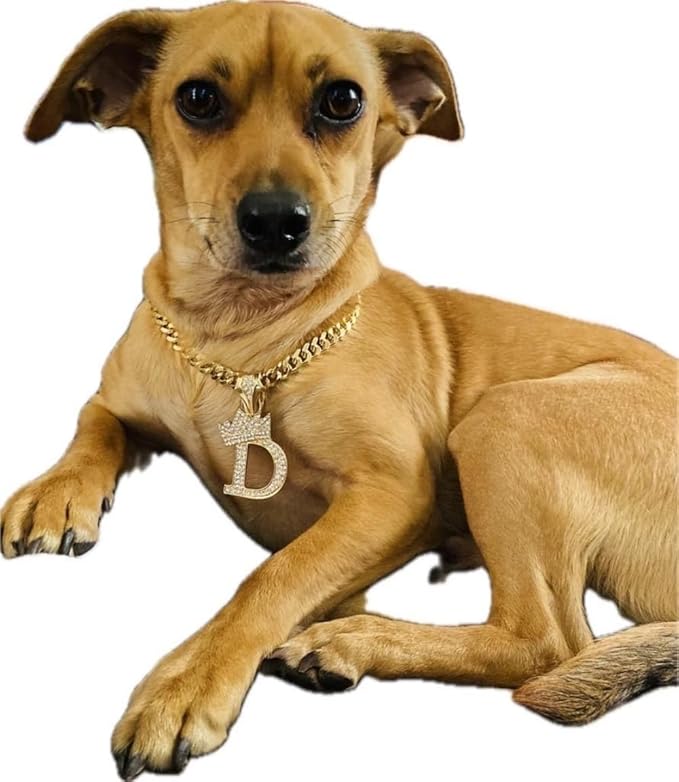 Initial Letter Cuban Chain Dog Chain Pet Chain Pet, Cat, Puppy Necklace (D, 10")