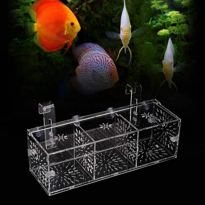 Fish Breeding Isolation Box Aquarium Acclimation Hatchery Incubator Acrylic Transparent Aquarium Hatchery Incubator Holder(30CM*10CM*10CM)