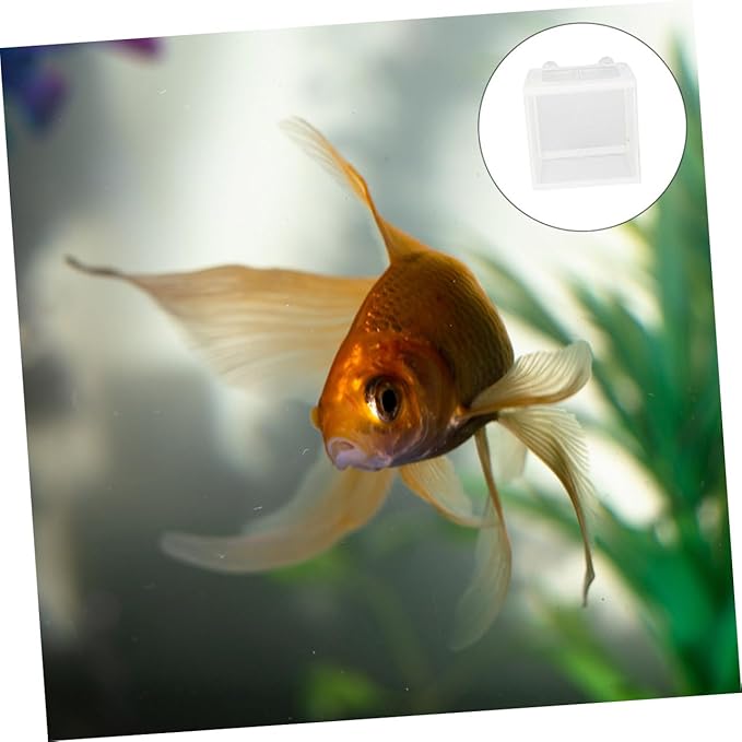 Happyyami Tropical Fish Breeding Tank Fish Isolation Box Small Fishing Net Sturdy Material Color