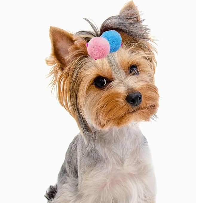 50pcs Dog Hair Bows Puff Ball,Pompom with Elastic Cotton Hair Tie Band for Doggy Puppy Cats Kitten Pets,Yorkshire Grooming Hair Accessories,No Damage Hair,0.75inch Hair Rope Multicolored