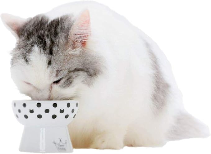 Necoichi Raised Cat Food Bowl – Ceramic Elevated Cat Bowl for Whisker & Neck Fatigue, Dishwasher Microwave Safe – Non-Slip & Anti Vomiting Ergonomic Design (Dots, Mini)