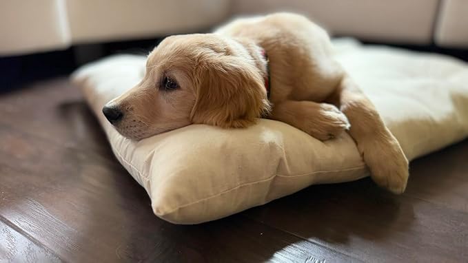 Rectangular Muslin Dog Bed Insert with Raw Cotton Filler, Natural Pet Bed Cushion Insert, Breathable Inner Pillow for Dog Bed Covers (Medium 36"x22"x4")