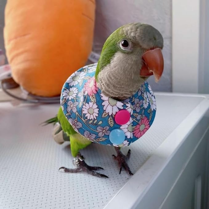 Bird Collar - Anti-Bite Elizabethan Recovery Cone Feather Plucking Protector Skin-Friendly Neckwear for Parakeets Conures Cockatiels Lovebirds Budgies Cockatoos African Grey Random Color (S)