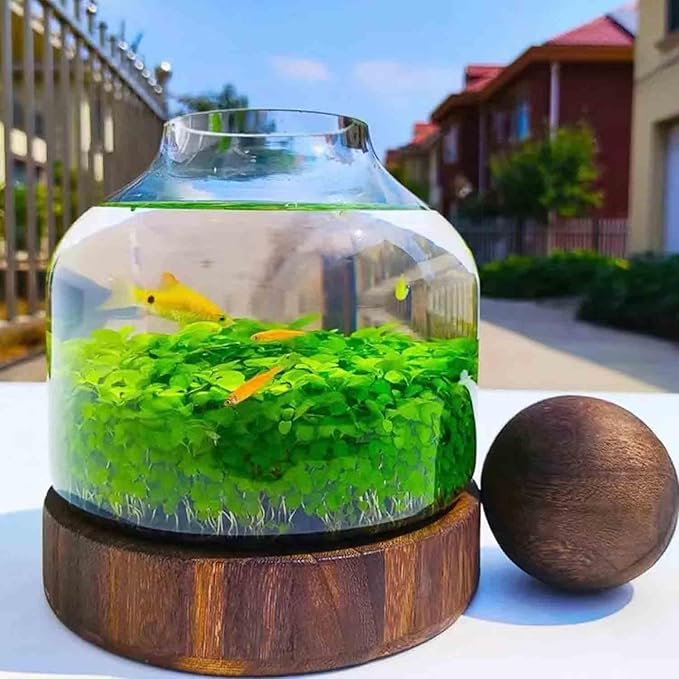 Glass Aquarium Fish Tank Plant Terrarium Bowl Micro Ecological Landscape Self-circulating Plant Vase Desktop Planter Jars Breeder Box, A