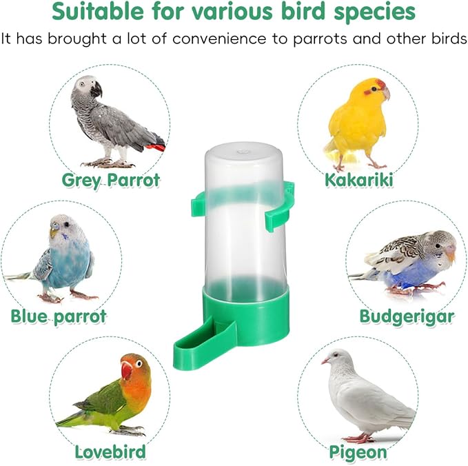 30 pcs Bird Water Dispenser: Budgie Perky Bottle Bowls Cage Feeder Birds Clips Small Cage, Budgie Food Feeders Plastic No Waterer, Wild Bowl Leak Food Doves Bottles Poultry Quail Accessories Baths