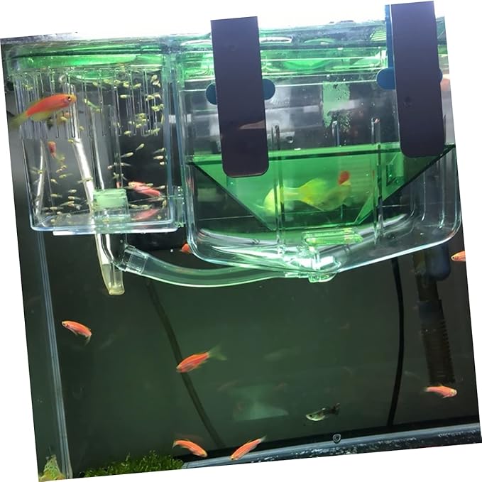 BESTonZON Isolated Acrylic Fish Breeding Tank Aquarium Incubator Box for Protecting Eggs Fry and Shrimp Transparent Self Guided Hatching Case for Home Aquariums