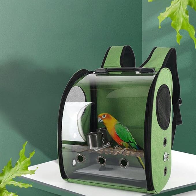 Compact Carrier for Birds with Clear View and Travel Features, Green