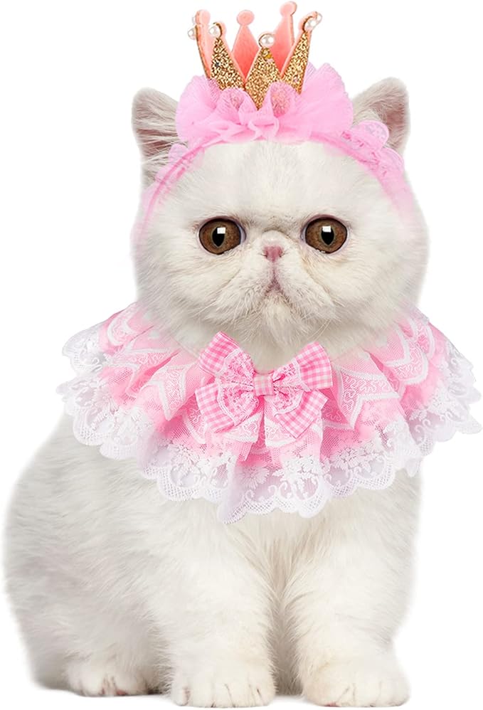Legendog Cat Bandana, Princess Costume, Cute Lace Dog Bandanas and Crown Accessories for Small Dogs, Pink Outfit for Birthday Party (B-Pink)