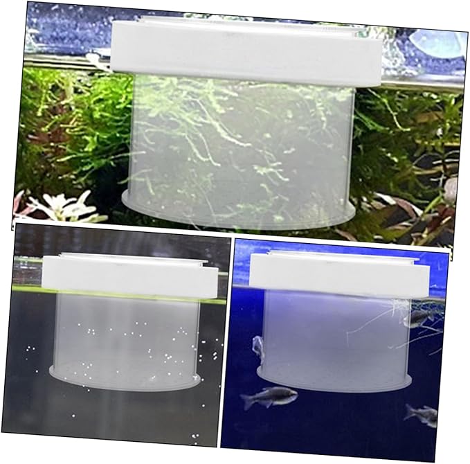 Acrylic Fish Isolation Box for Shrimp and Fry Breeding Separator Tank for Freshwater and Aquariums Easy to Observe and Install Breeding Container