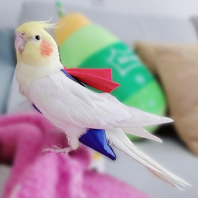 Parrot Flight Suit Diaper (Without Leash) - Reusable Bird Diaper for Budgies, Lovebirds, Cockatiels, and More - Fabric Bird Suit (Blue Superman-L)