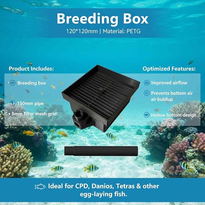 Breeding Box Suitable for Fluval Aquariums | Fish Egg Collector | Suitable for breeding Egg-Laying Fish | Dimensions: 120 x 120 x 80 mm (Black)