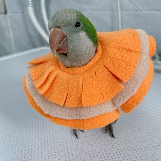 Elizabethan Recovery Cone Bird Collar - Anti Bite Neck Protector for Feather Plucking, Full Body Shield for Parakeet (Blue Quaker)