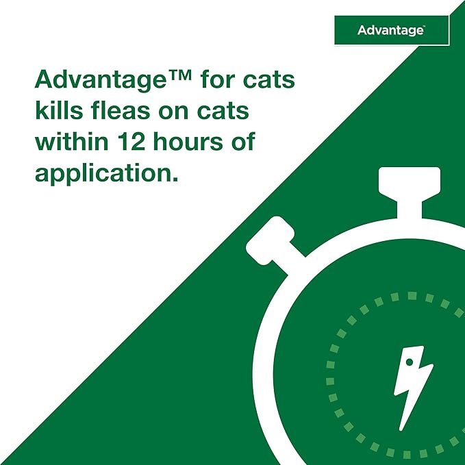 Advantage Topical Cat Flea Treatment and Prevention for Large Cats Over 9 lbs. | Apply Flea Drops Monthly | 2 Treatments,(Pack of 3)