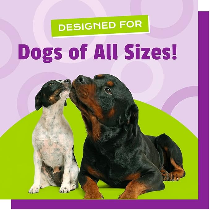 Pet Naturals Probiotics for Dogs – 60 Soft Chews, Dog Probiotic Chews for Digestive & Gut Health Support, 120M CFUs + Prebiotics, Immune Support for Occasional Upset Stomach, Duck Flavor, All Breeds