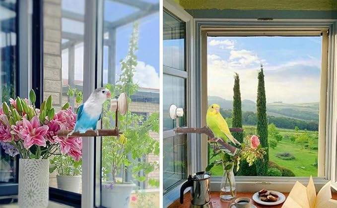 6 Pack Suction Cup Accessory Sets for Brid Perches Brid Stand Sticks Stand Toy Wood Platform for Parrot Parakeet Cockatiel Budgie Suction Cup for Window Bath Shower Car Travel Wall Outdoor Indoor