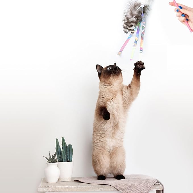 Hokaad Cat Insect Feather Toys - Feather Wand & 6 Natural Insect Refills - Interactive Cat Teaser with Bell
