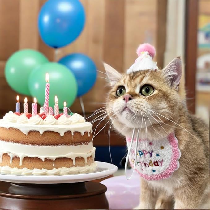 Cute Pet Birthday Costume Bandana Scarf Bib and Hat Set for Cat Small Dog, Cat Birthday Decorations Outfits (Pink)